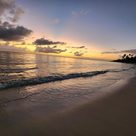 Saona Lodge Mano Juan المظهر الخارجي الصورة