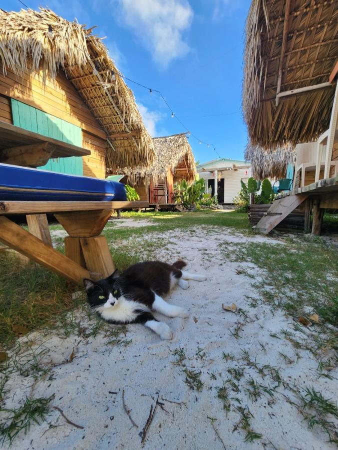 Saona Lodge Mano Juan المظهر الخارجي الصورة