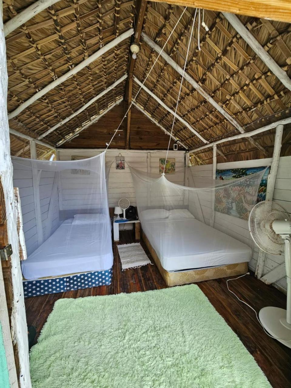Saona Lodge Mano Juan المظهر الخارجي الصورة
