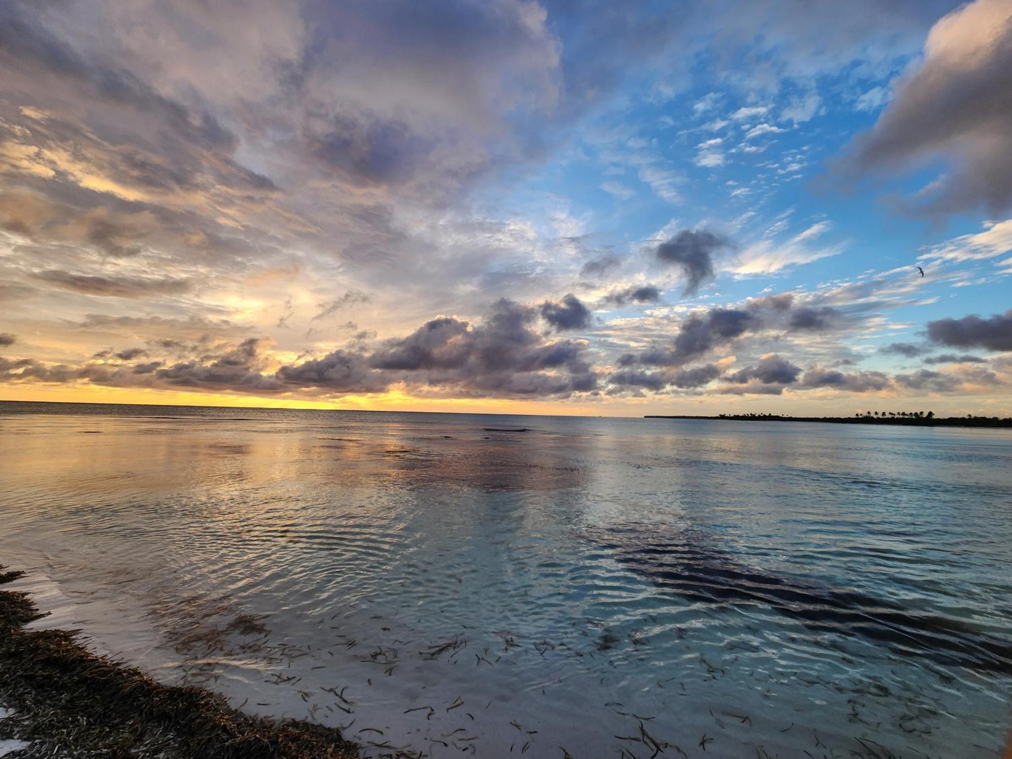Saona Lodge Mano Juan المظهر الخارجي الصورة