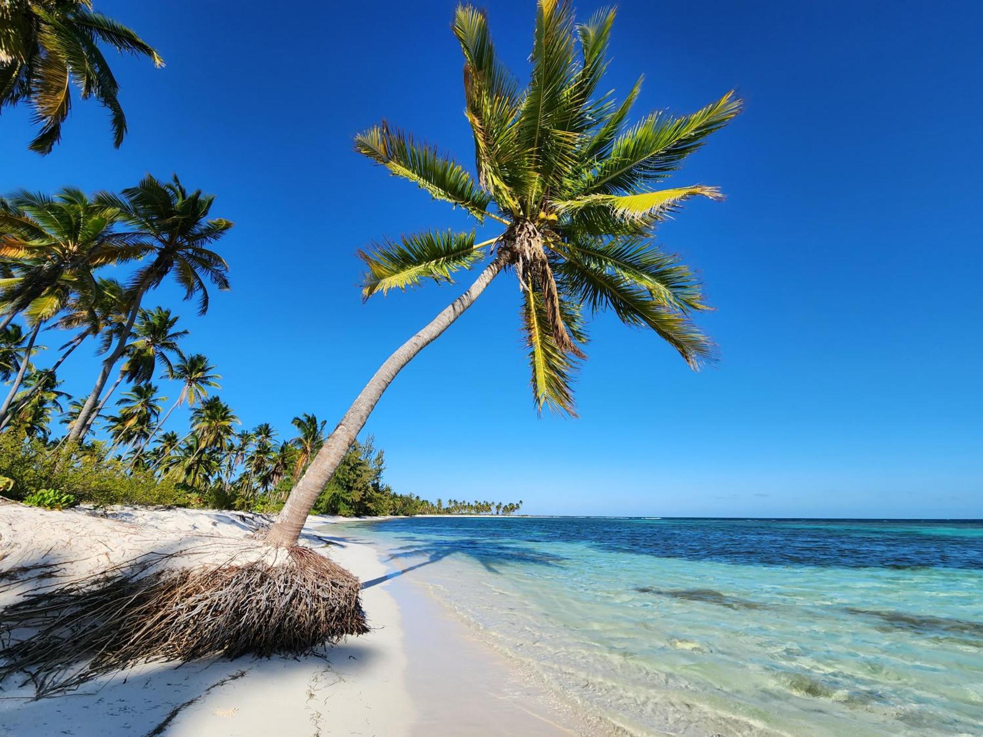 Saona Lodge Mano Juan المظهر الخارجي الصورة